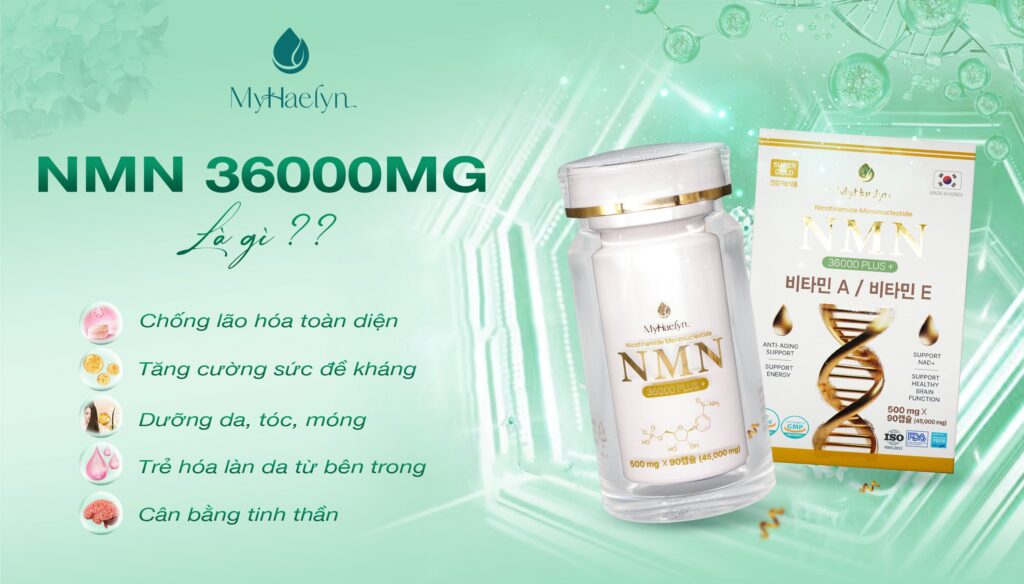 Cơ chế hoạt động của NMN 36000mg
