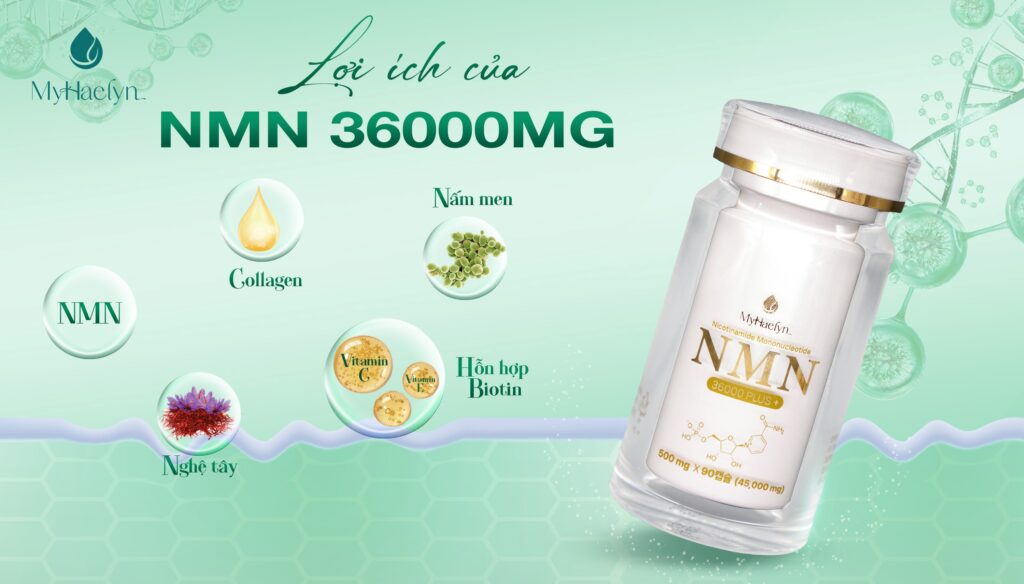 Lợi ích NMN 36000mg đối với cơ thể