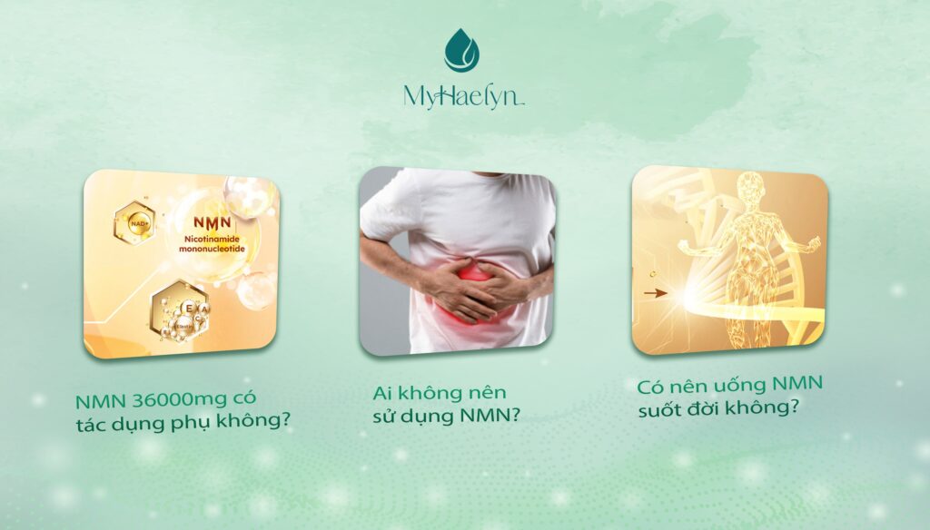 Giải đáp thắc mắc về viên uống NMN 36000mg