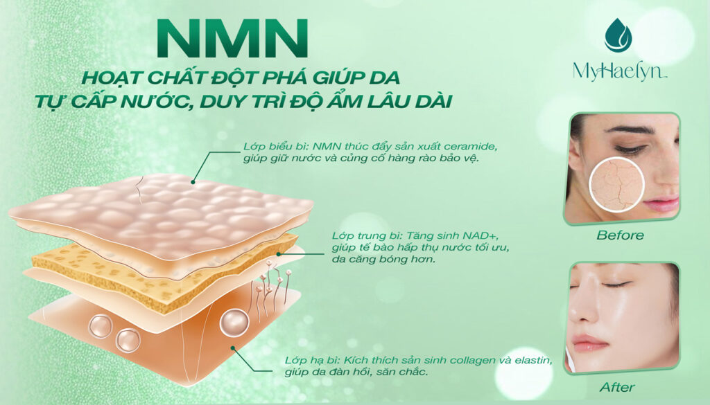 Hoạt chất NMN đột phá giúp duy trì độ ẩm cho làn da