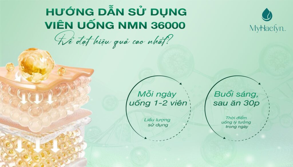 Hướng dẫn sử dụng viên uống NMN hiệu quả