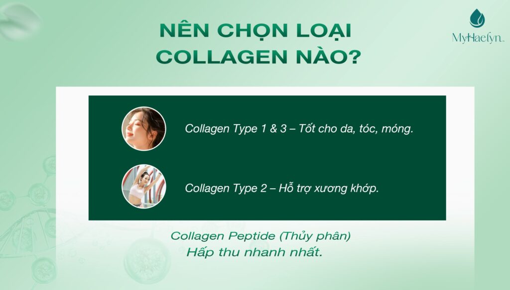 Các loại collagen phổ biến hiện nay