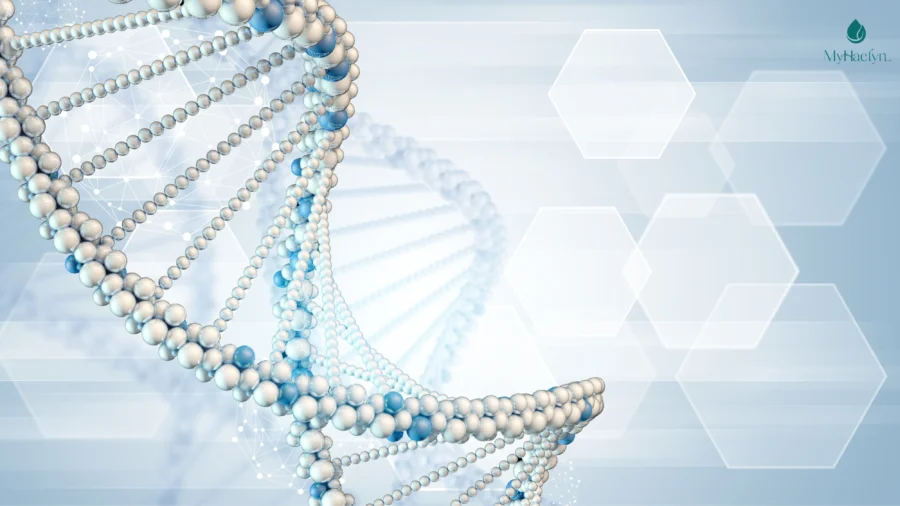 Giải mã NMN: Thực phẩm chức năng hay thuốc bổ?