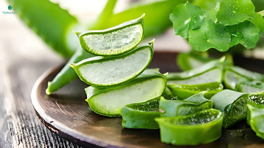 Thành phần sữa rửa mặt từ thiên nhiên an toàn cho cả da nhạy cảm