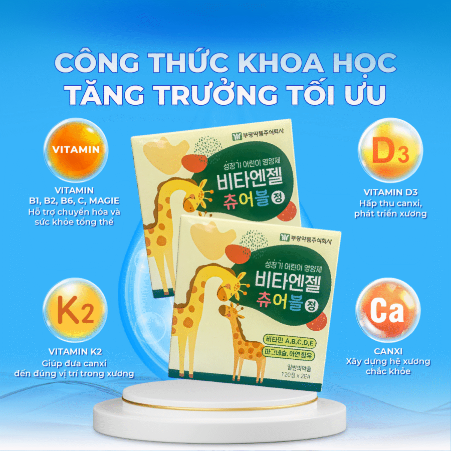 Thành phần chính của Kẹo Phát Triển Chiều Cao Vita Angel Chewble
