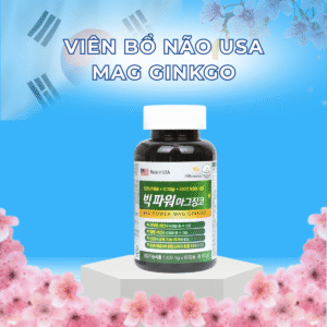 Viên Bổ Não USA Mag Ginkgo