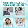 Hướng dẫn sử dụng Cao Hồng Sâm Cô Đặc