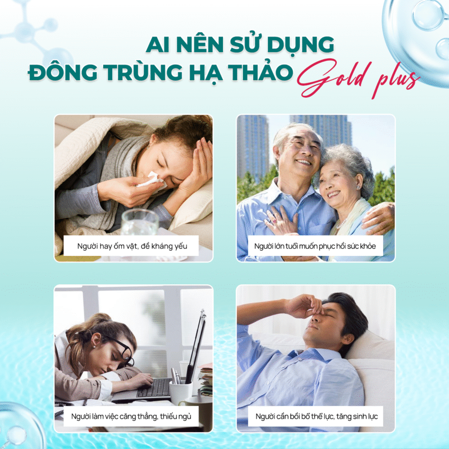 Hướng dẫn sử dụng Đông Trùng Hạ Thảo Gold Plus 