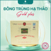 Đông Trùng Hạ Thảo Gold Plus