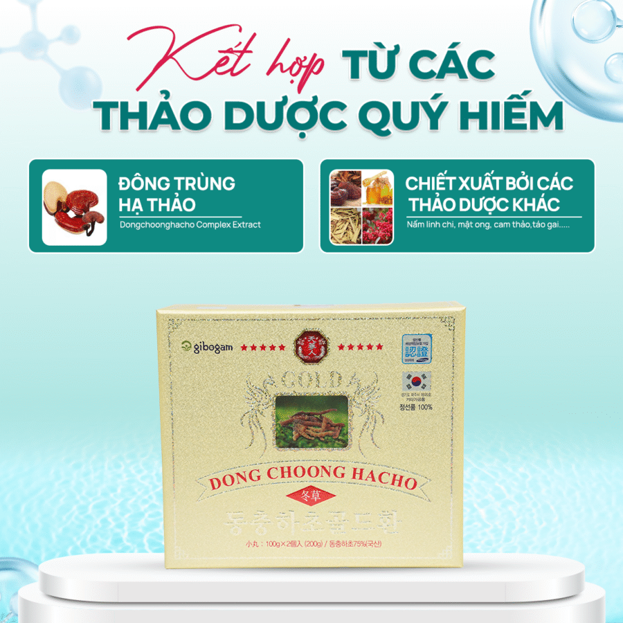 Thành phần của Đông Trùng Hạ Thảo Gold Plus